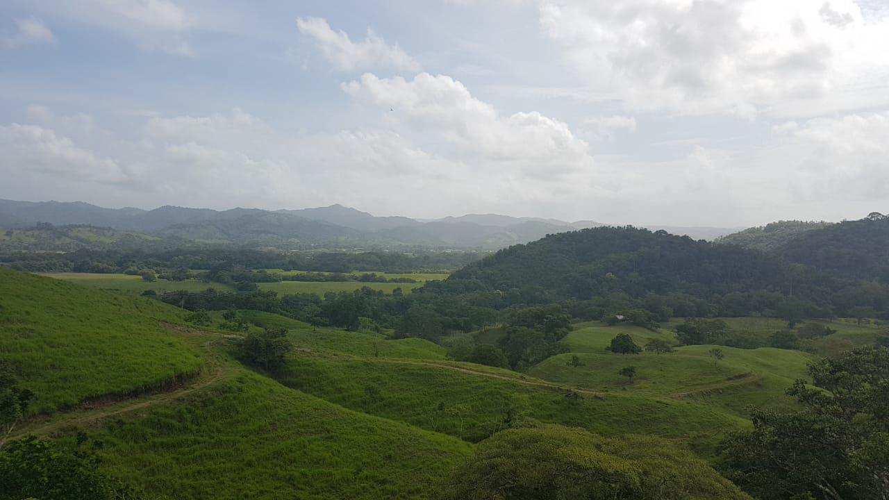 Terrenos Cañita de Chepo