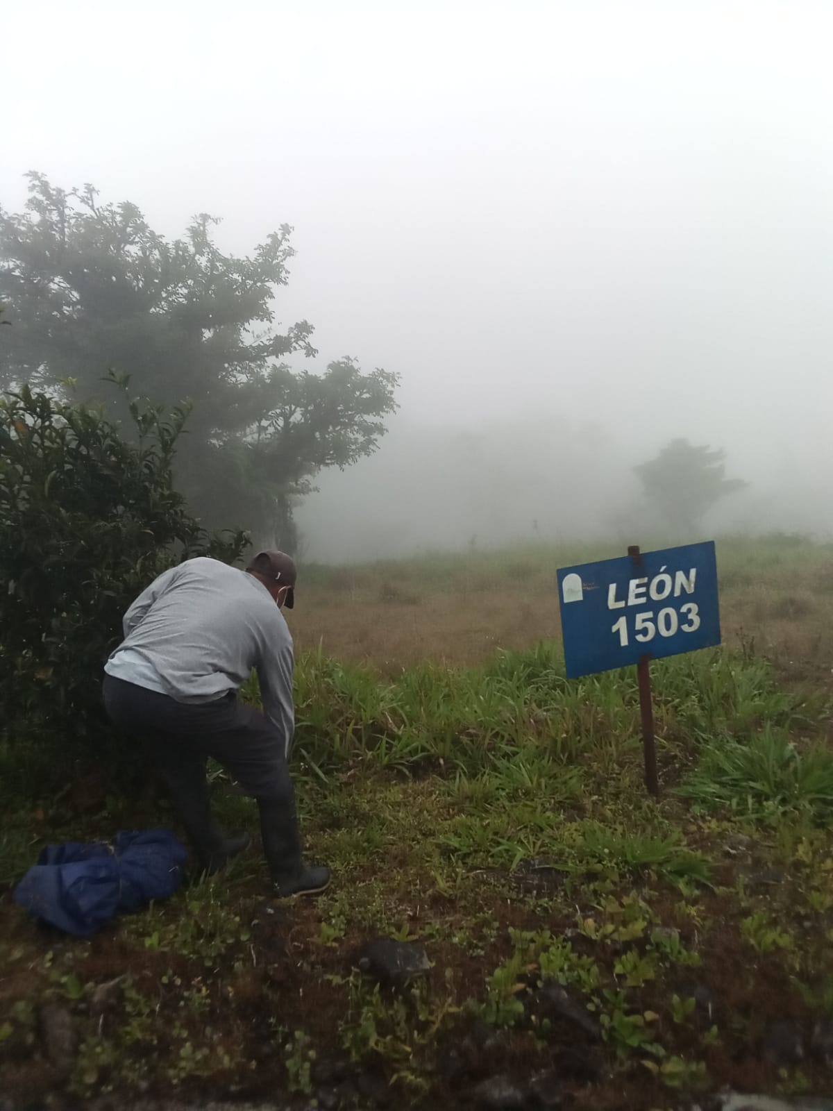 TERRENO ALTOS DE MARIA